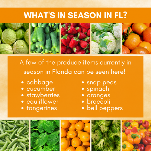 Image showing seasonal produce options currently in Florida. Cucumbers, cabbage, snap peas, strawberries, tangerines, broccoli, oranges, bell peppers, cauliflower, and spinach. 