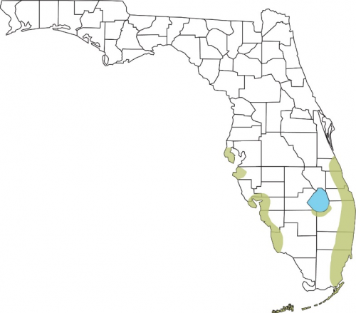 Map of Florida with shaded areas showing range of basilisk lizard. 
