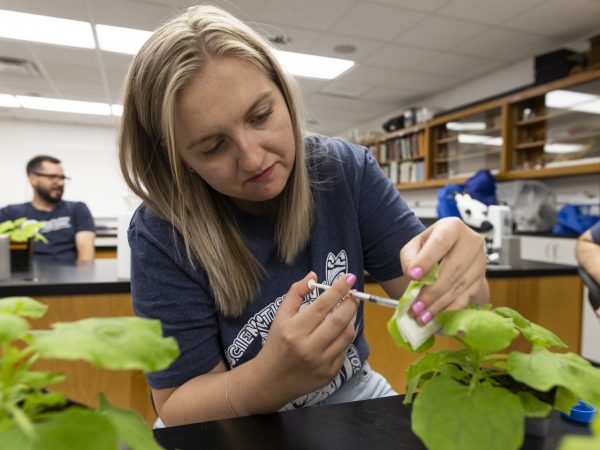 florida teacher dissects rice plant during scientist in every florida school professional development workshop