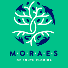MORAES logo