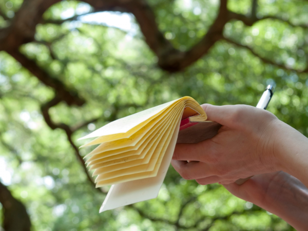 In the foreground is a close up of someone's hands holding a small notepad and writing something in it. In the background is a tree canopy covering the sky.