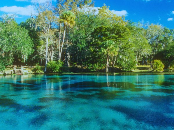 multi-colored blue springs bordered by green trees