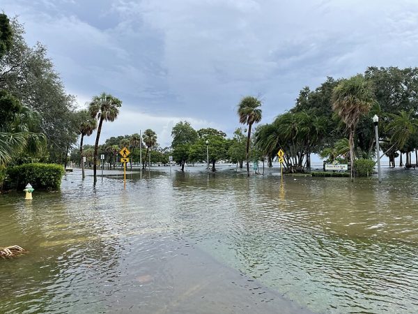 Hurricane_Idalia_storm_surge_St._Petersburg_Florida