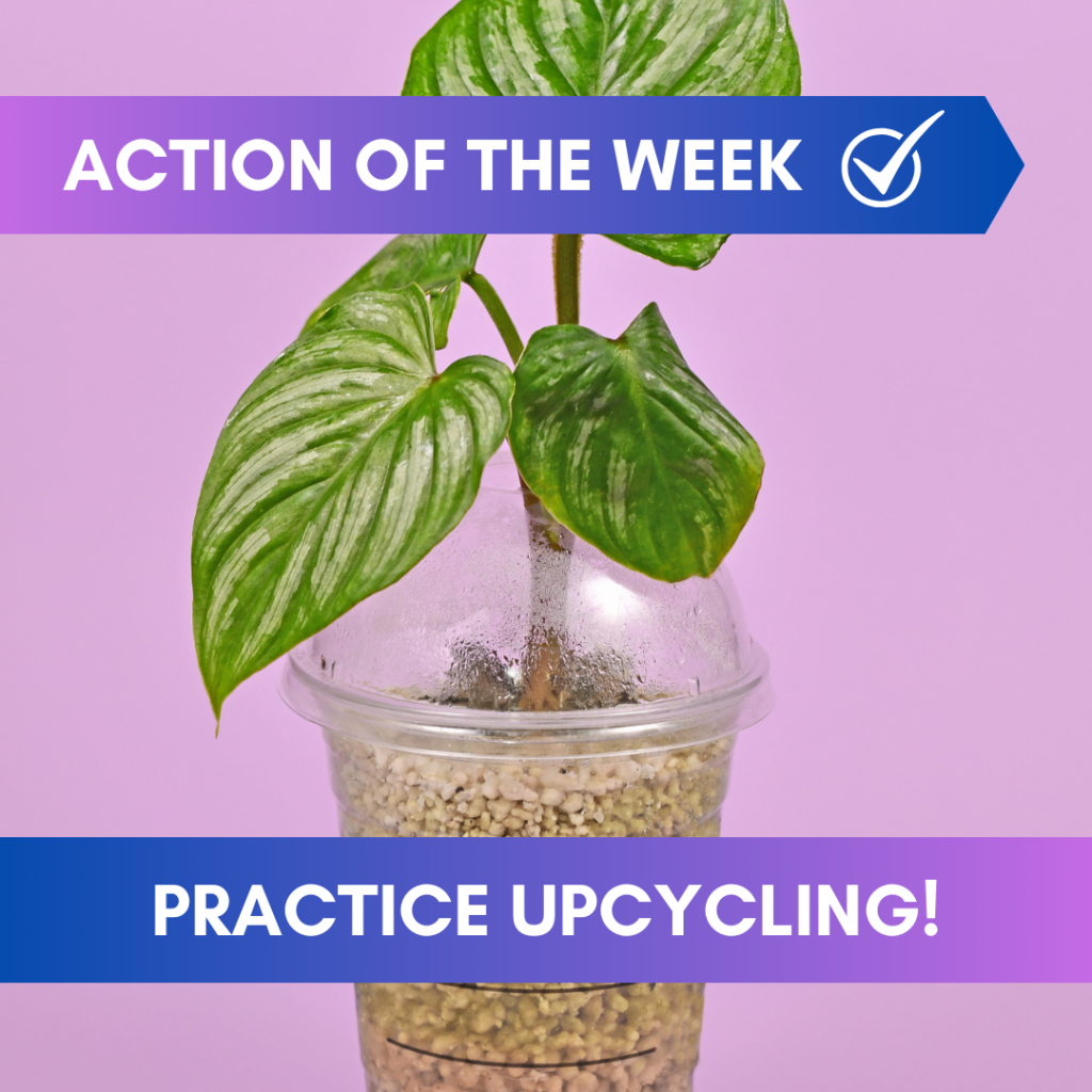 Action of the Week Practice Upcycling