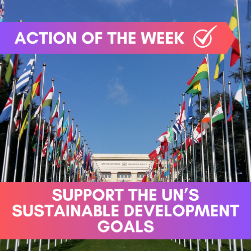 Support the UN’s Sustainable Development goals