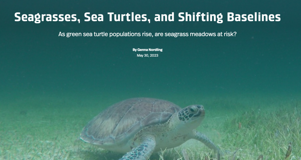“Sea Turtles, Seagrasses, and Shifting Baselines”