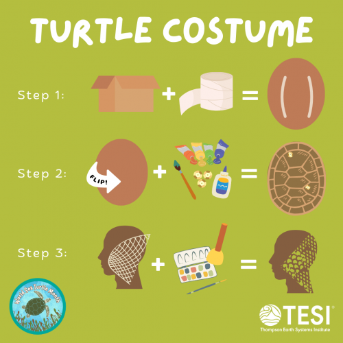 Turtle Costume