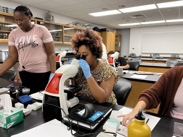 A teacher wearing protective gloves peers through a microscope.