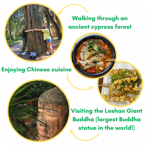 Visiting an ancient cypress forest, trying Chinese cuisine, and visiting the Leshan Giant Buddha. 
