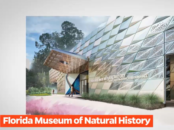 design for new museum entrance