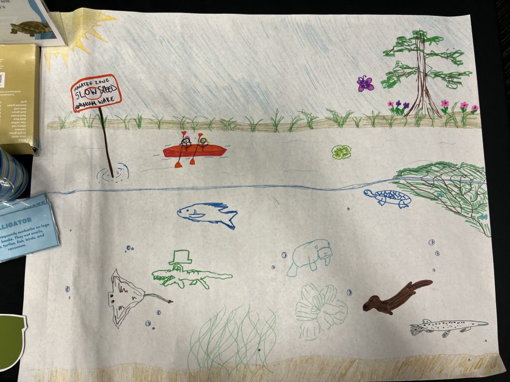 springs pictionary drawings