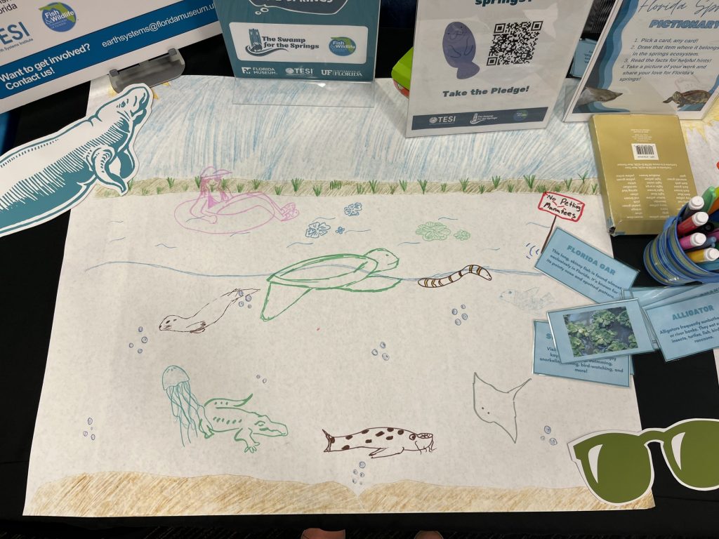 springs pictionary drawings