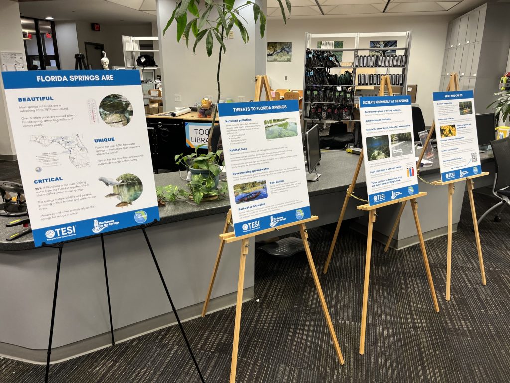 Easels with posters of key messages of the swamp for the springs campaign