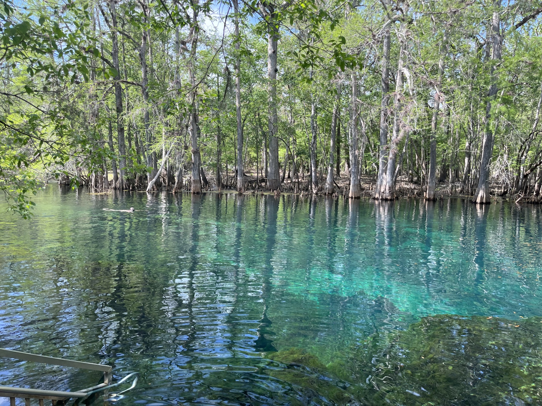 Teal Spring Horizontal