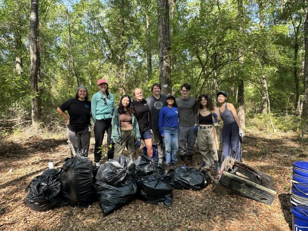 springs clean up