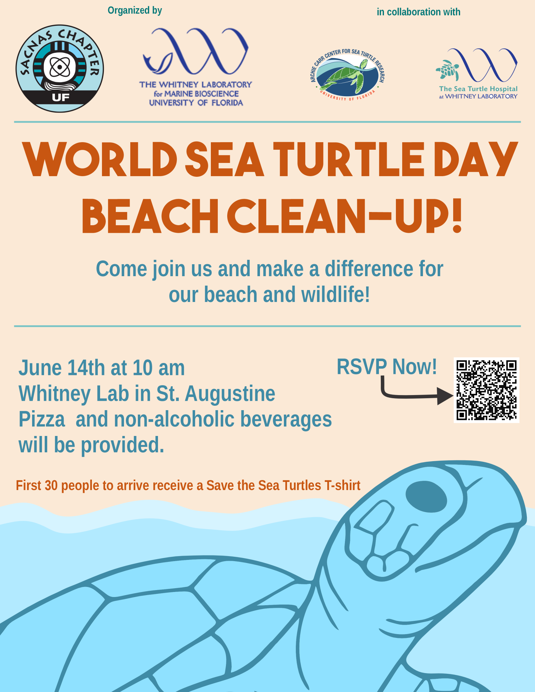 beach clean up poster