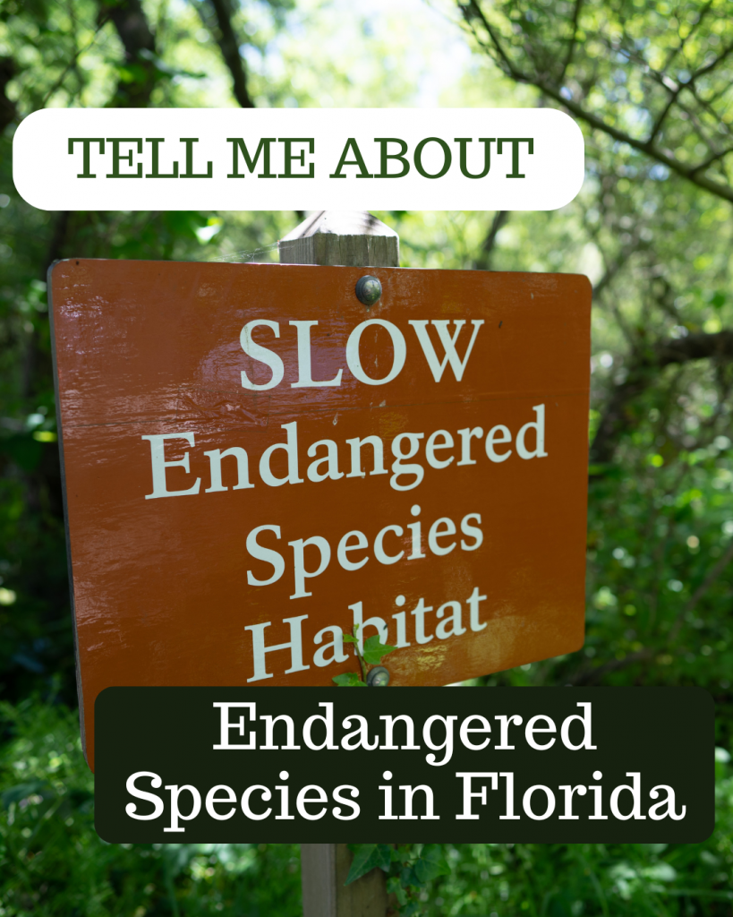 endangered species
