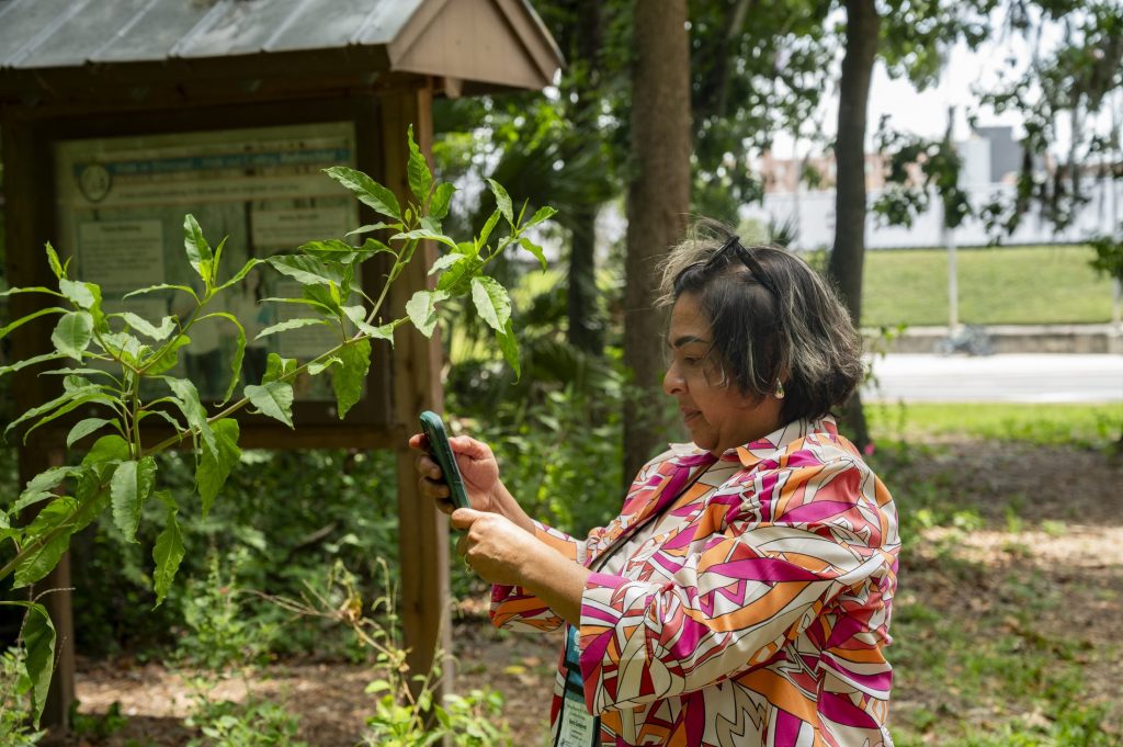 Maria Sandoval using Seek by iNaturalist to identify a plant species in the Natural Area Teaching Lab.
