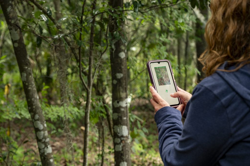 On a guided hike, a teacher is using Seek by iNaturalist to identify plant species in the Natural Area Teaching Laboratory.