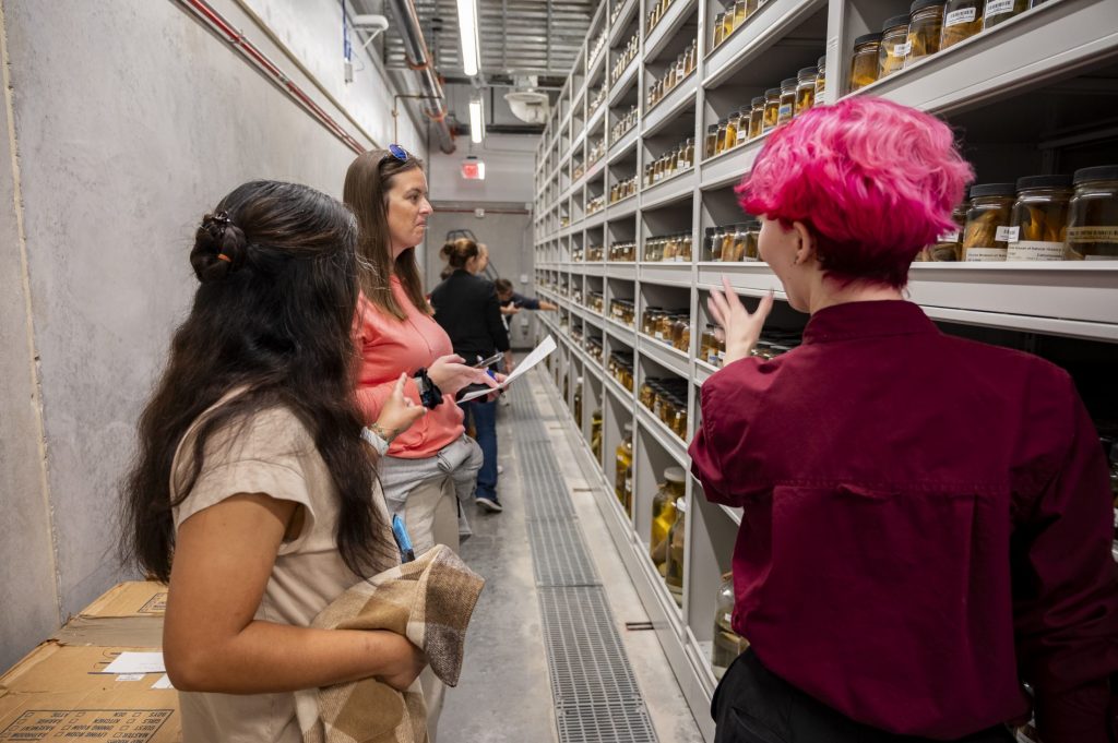 Lab technician Basil Williams showing the teachers around the shelves of the Ichthyology collections.