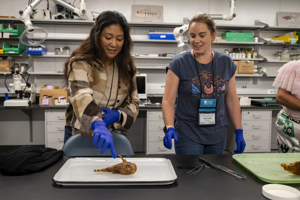 two teachers examining a blobfish