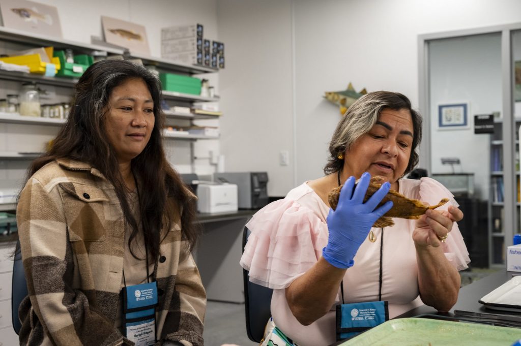 Maria Sandoval and Mariglo Gregorio looking at a fish specimen.