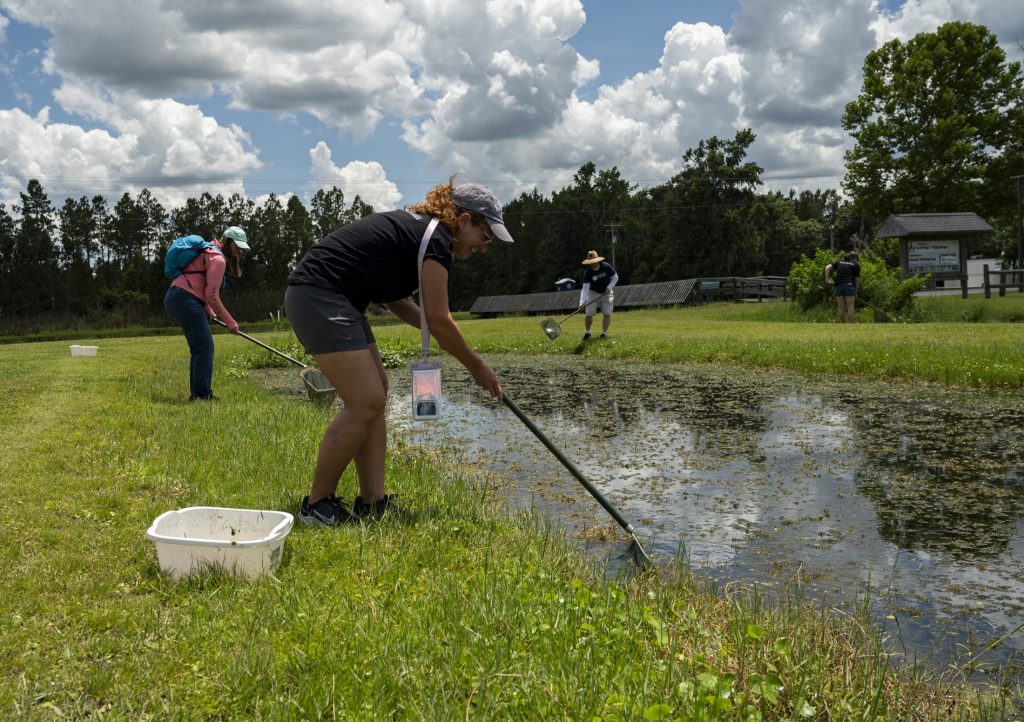 dipnetting aquatic macroinvertebrates