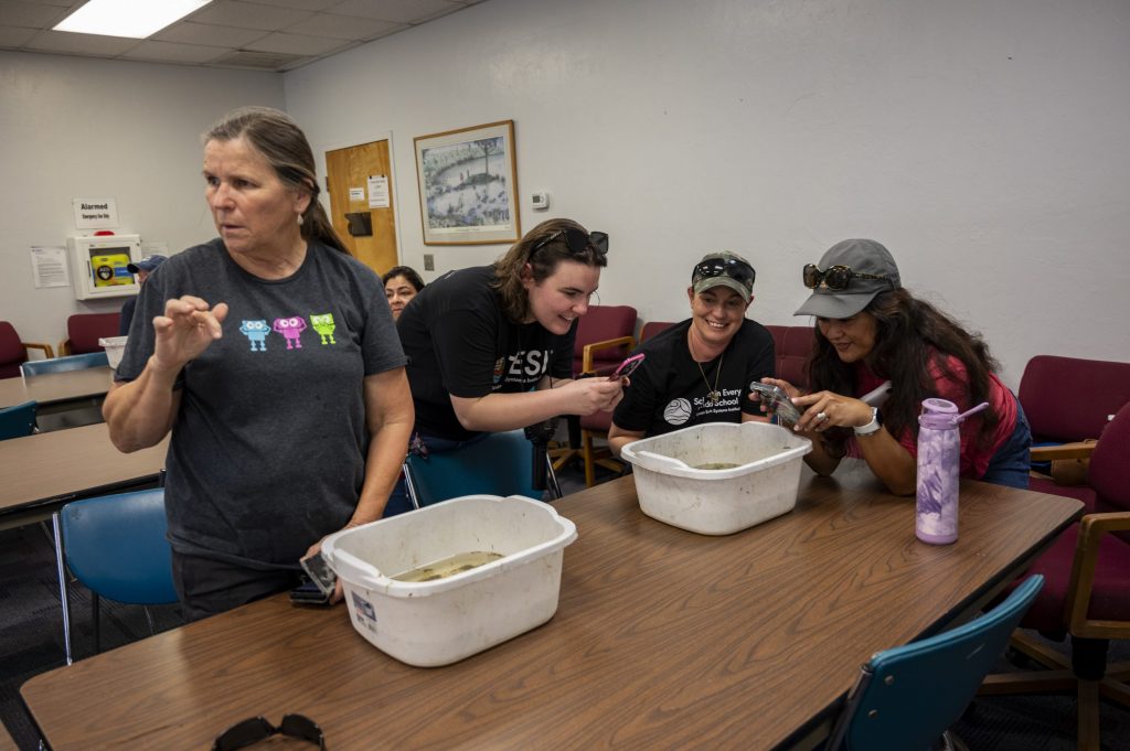 teachers sorting through water in plastic bins to look for aquatic macroinvertebrates