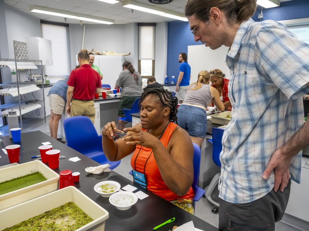 Zonnelle Handley is taking a picture of the two duckweed samples to analyze in ImageJ.