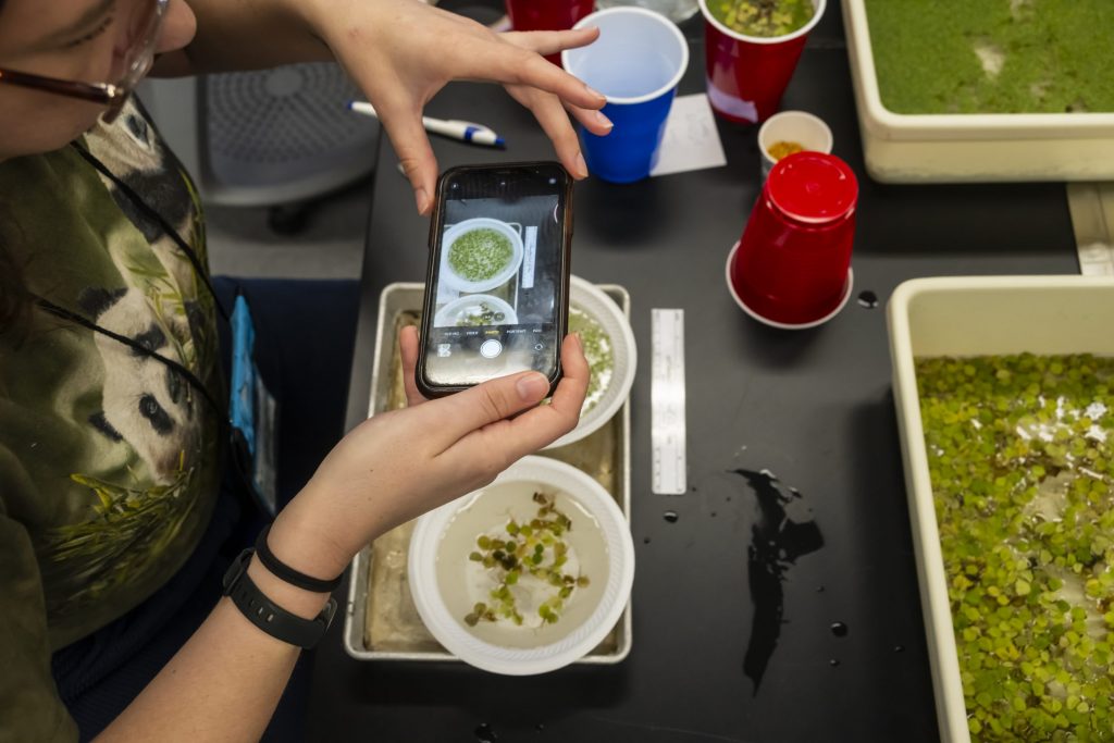 teacher taking picture of duckweed samples