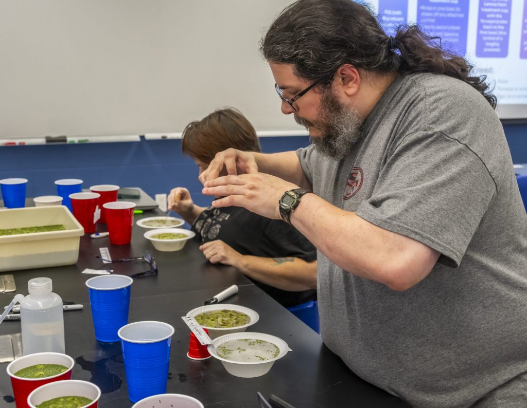 Teacher takes a picture with phone of duckweed samples in bowls;