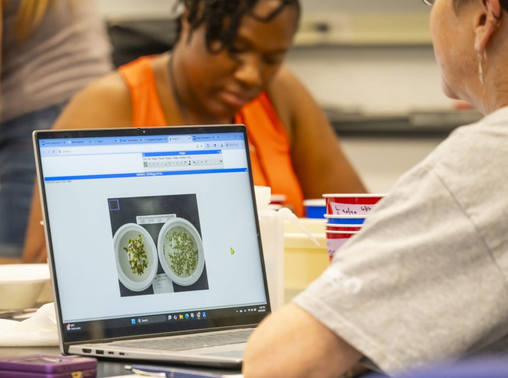 One of the teacher uses a software called ImageJ to measure the amount of duckweed.