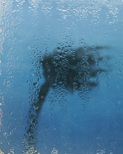 Image of a tree blowing in a storm from a window.