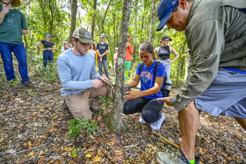 Dr. Matt Hallett helping Drew Kent and Grace Hooker to set up a camera trap at Ordway-Swisher while the other fellows look on.