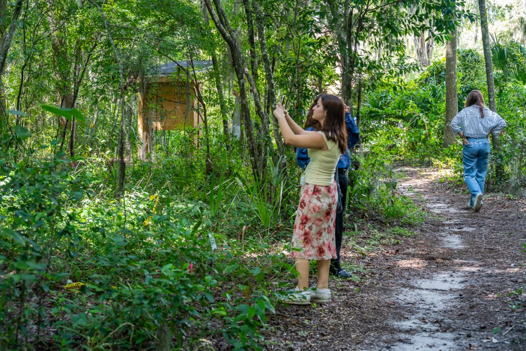 Liel Shachr, Paige Hughes, and Natalie Prioli in McCarty Woods practicing using smartphones to identify plants and wildlife.