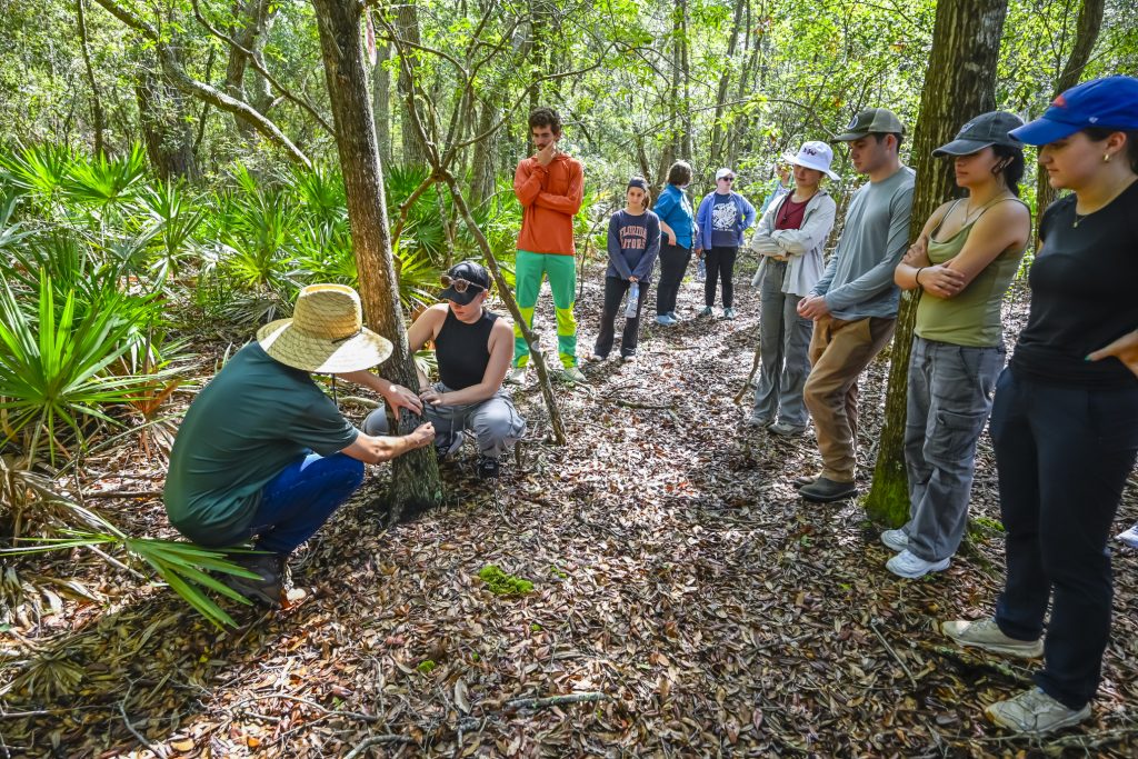 ELF Fellows watching Max Overdevest and Hanley Renney set up a camera trap on a tree in Ordway-Swisher.