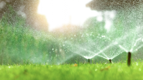 sprinklers