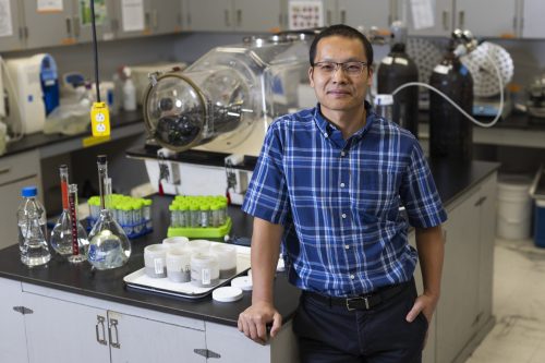 Dr. Dengjun Wang Lab