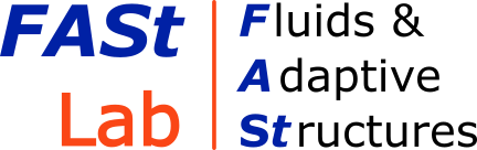 FAST logo