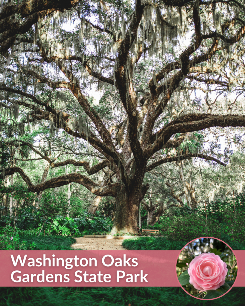 ALDKYFinprofileWOGSP