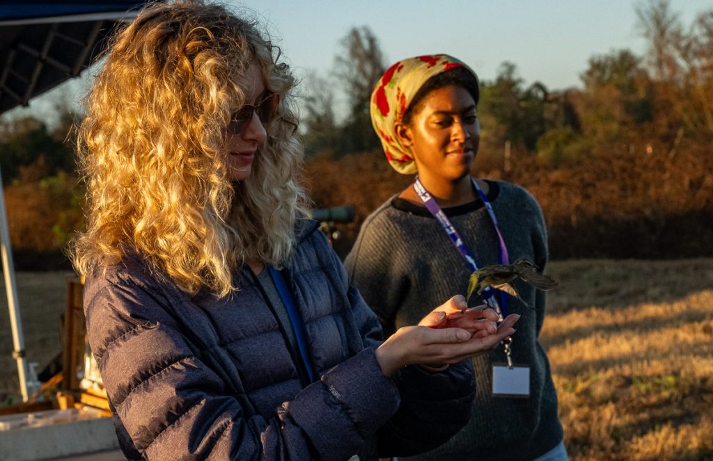 Ren releases a banded bird, it flies away from their hands.