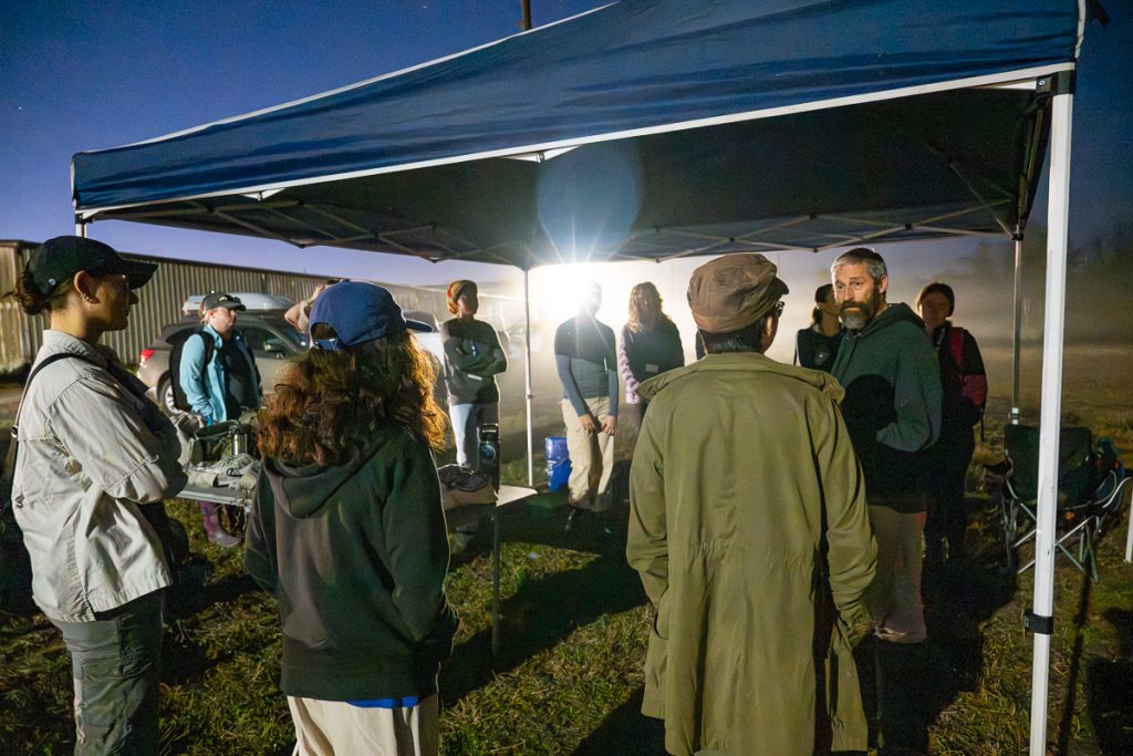 Fellows gather at the banding station, all are standing around Charlie Muise as he begins to explain banding. Bright light shines from behind the tent; it is still before sunrise.