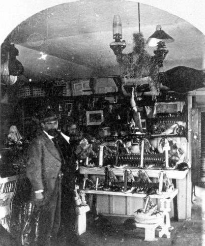 Heiss's Old Curiosity Shop