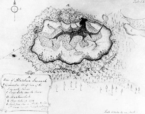 map of alachua savannah