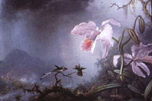 Heade two fighting hummingbirds with orchids oil painting