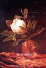 heade magnolia in an opalescent vase