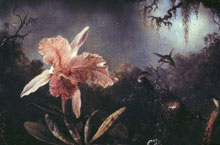 Catteleya Orchid and Three Brazilian Hummingbirds around Nest, oil painting