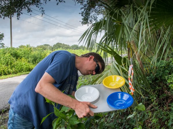 Josh Campbell checks an insect trap on a right of way near Trenton, FL.