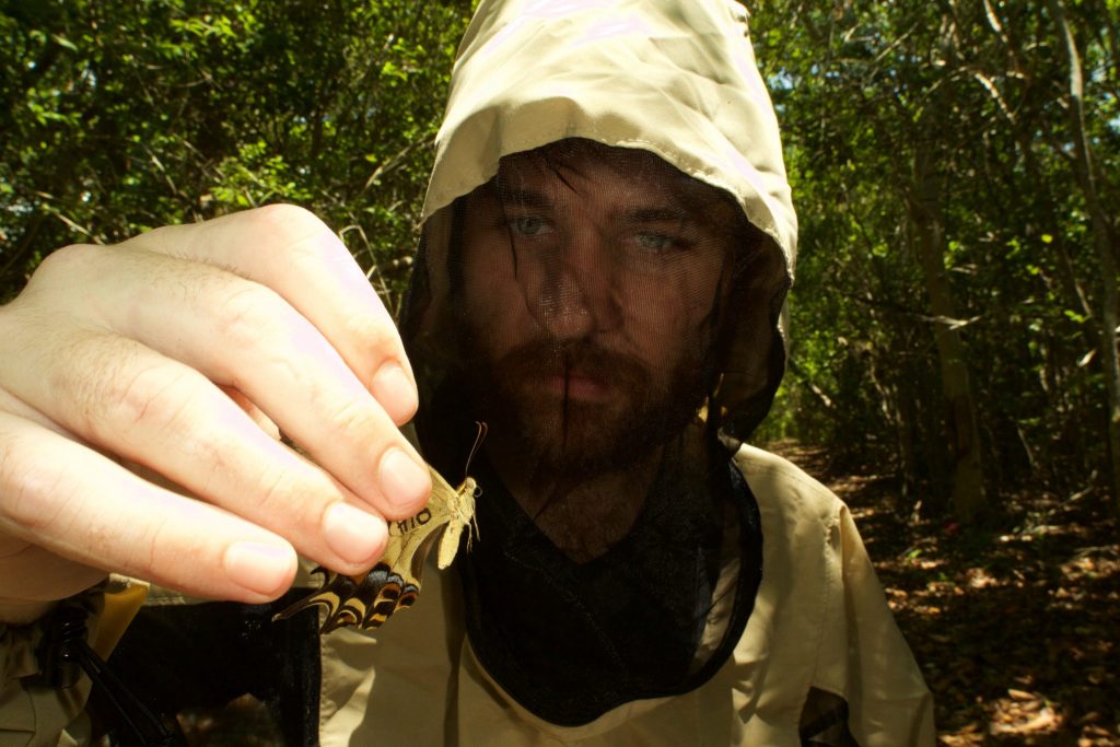 Jon Bremer releases a Bahamian Swallowtail on Elliott Key. Photo: Lary Reeves