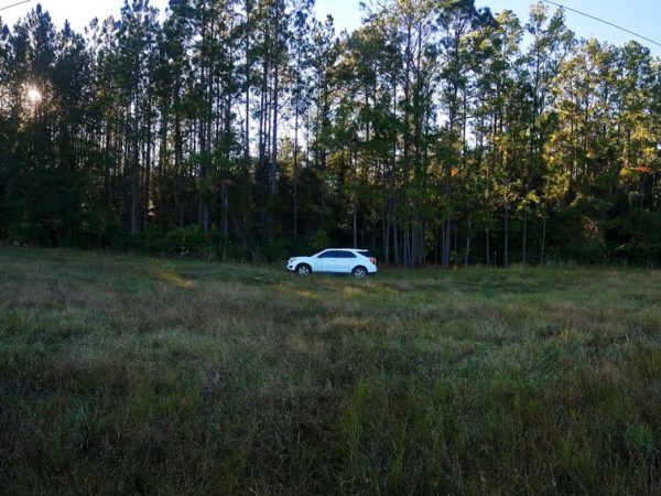 A well managed utility right of way where insect pollinators were trapped for our survey.
